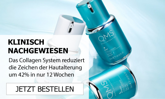 QMS System Angebot